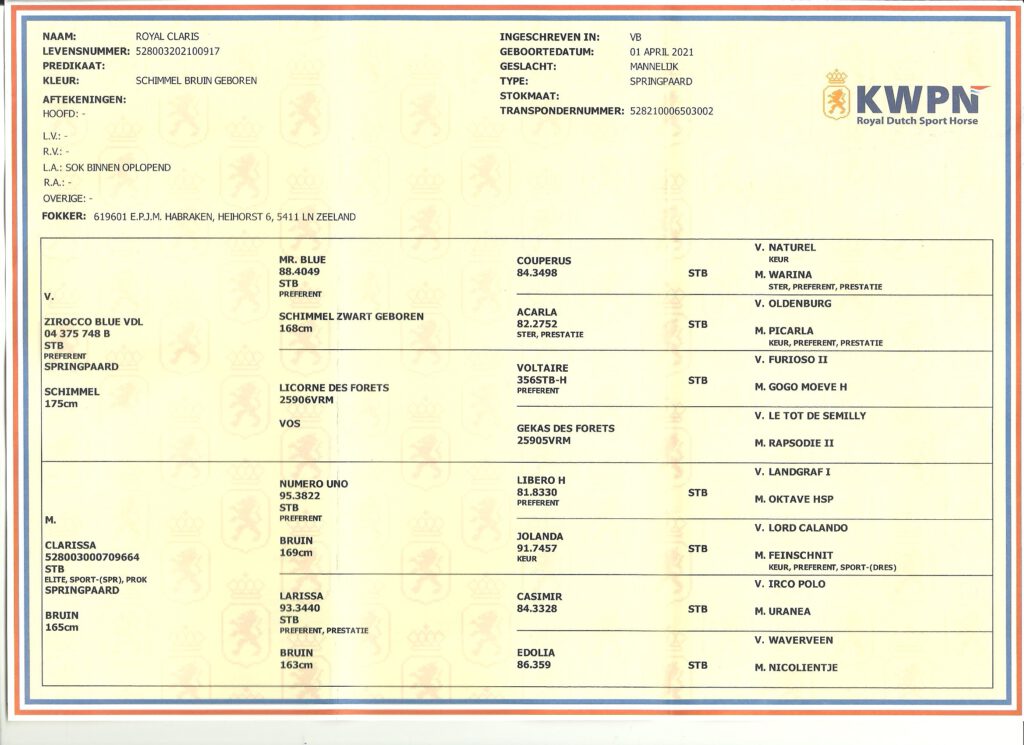 Royal-Claris-stamboekpapier