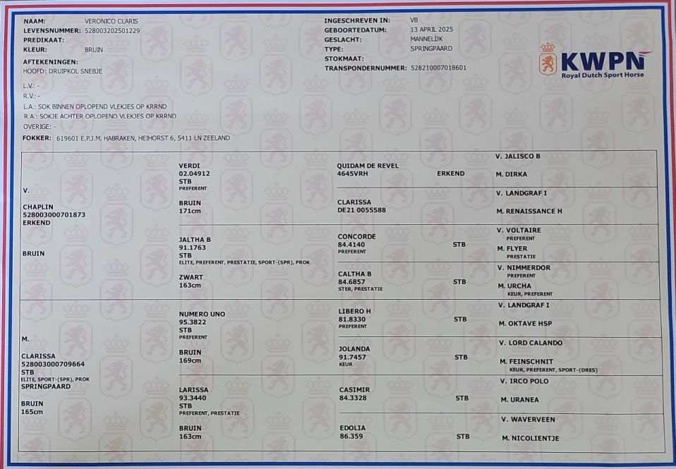 StamboekpapierVeronicoClarisws