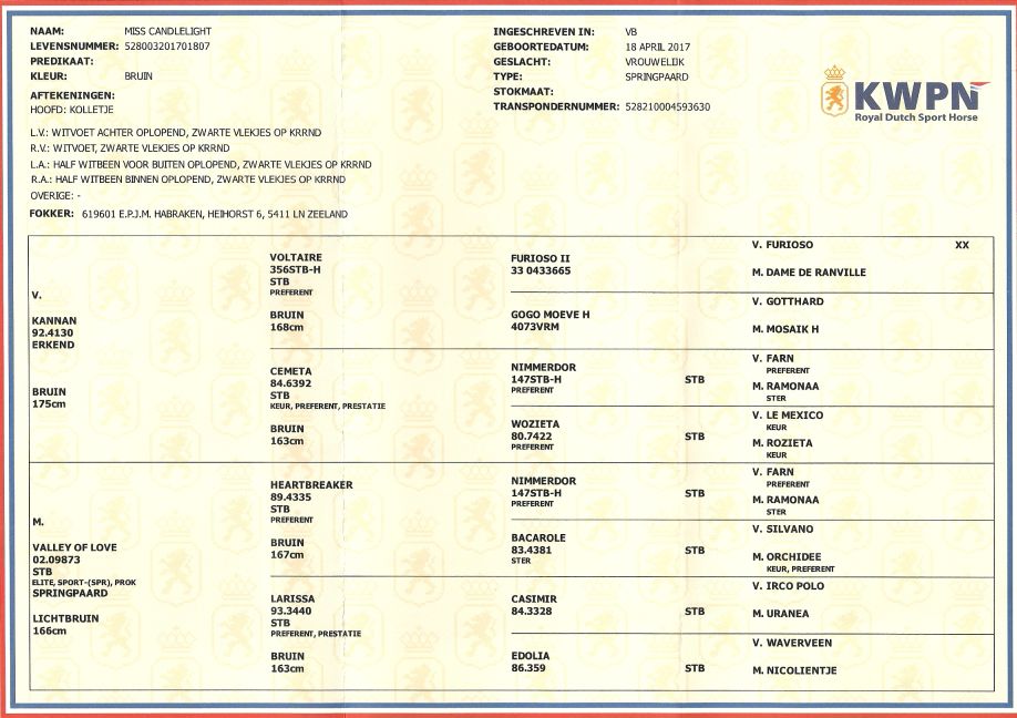 stamboekpapiermisscandlelightws